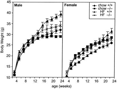 Fig 1.