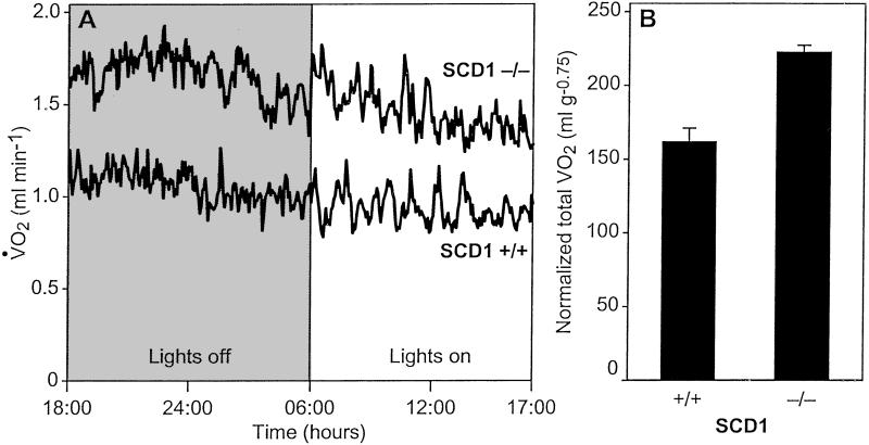 Fig 3.