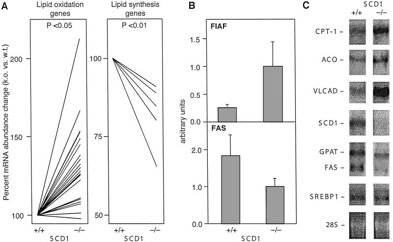 Fig 4.