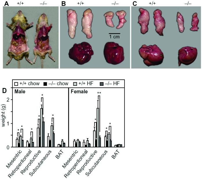 Fig 2.