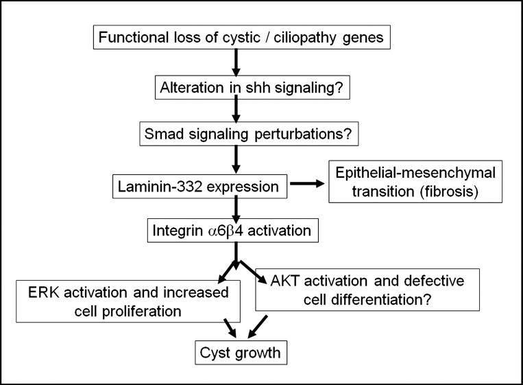 Fig. 12.