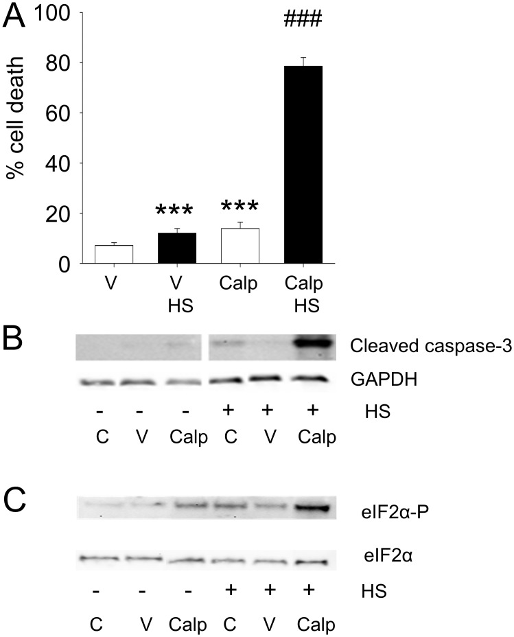 Fig 5