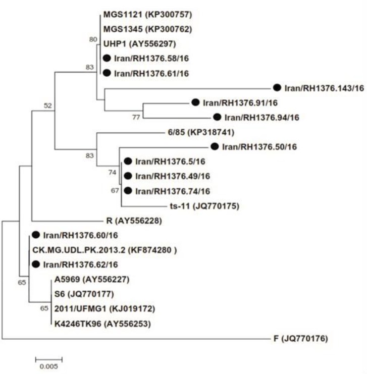 Fig. 2