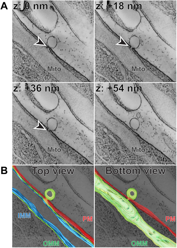 Fig. 3.