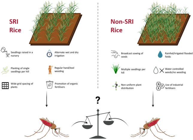 graphic file with name 13071_2025_6973_Figa_HTML.jpg