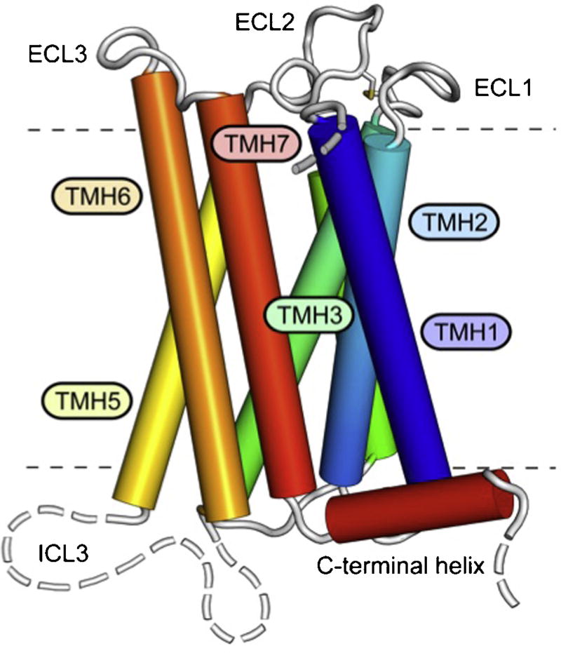 Fig. 2