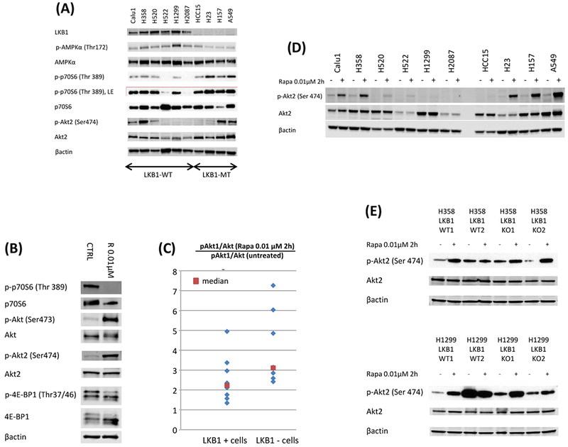 Figure 3: