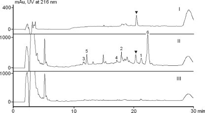 FIG. 5.