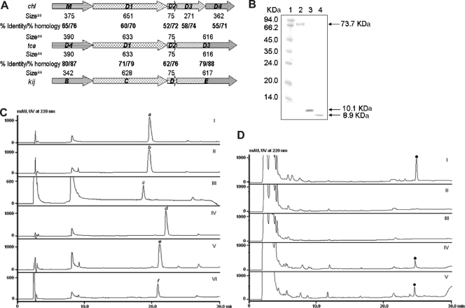 FIG. 4.