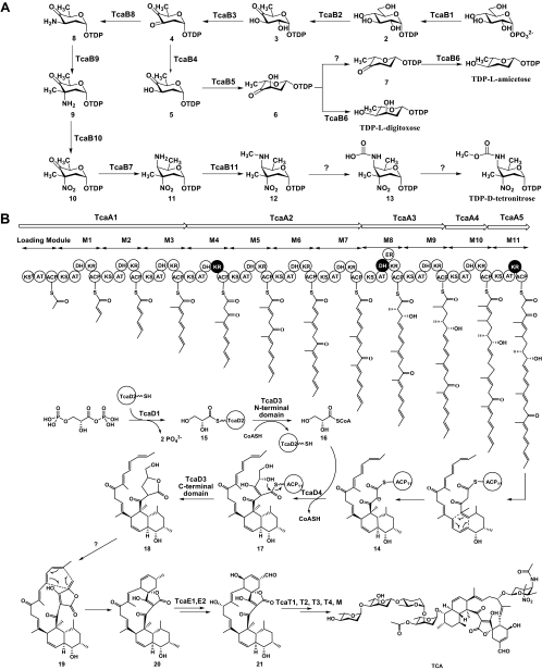 FIG. 3.