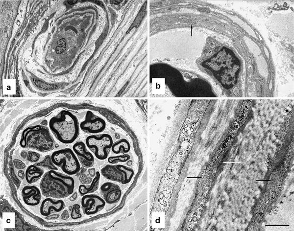 Fig. 3