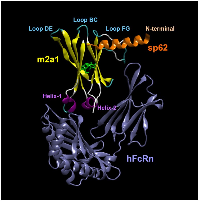 Figure 10