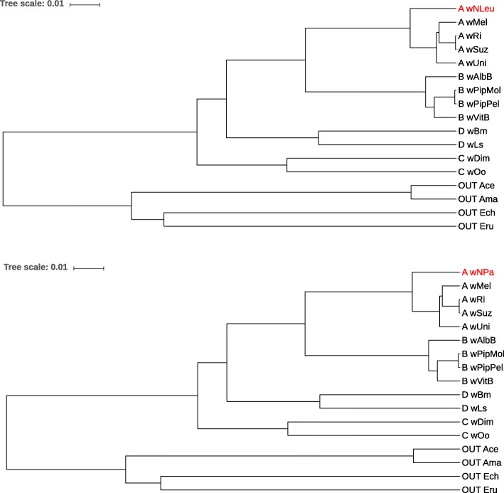 Fig. 10