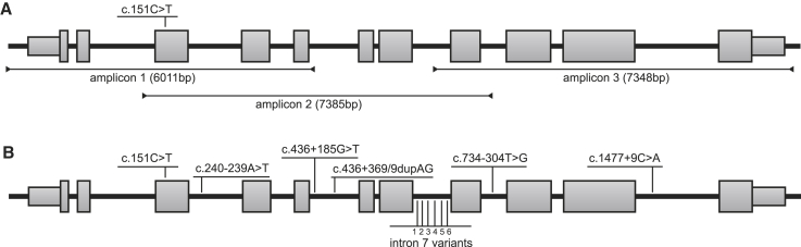 Figure 1