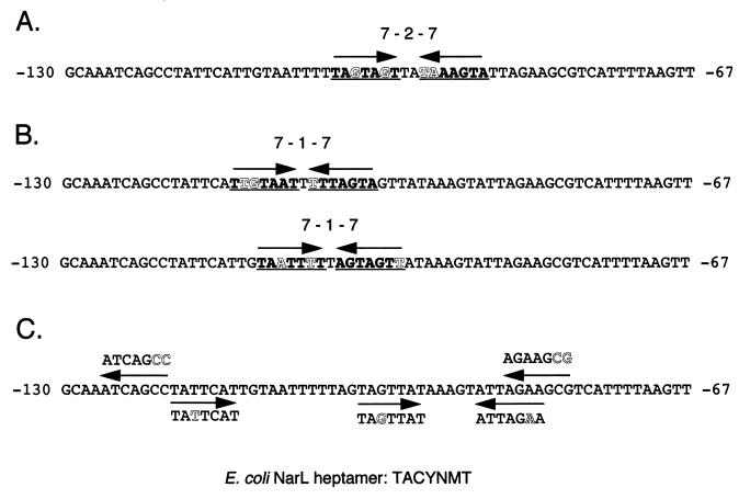 FIG. 8