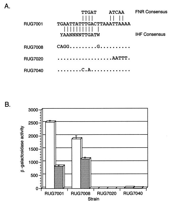 FIG. 6