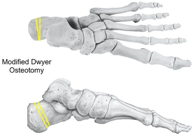 Figure 3.