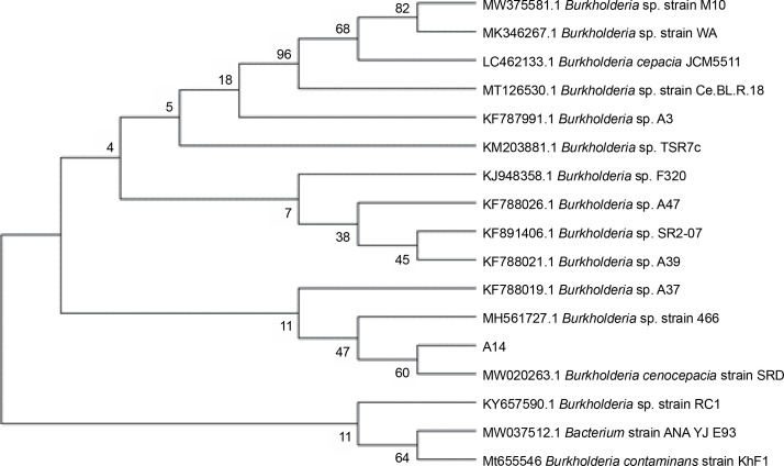 Fig. 2