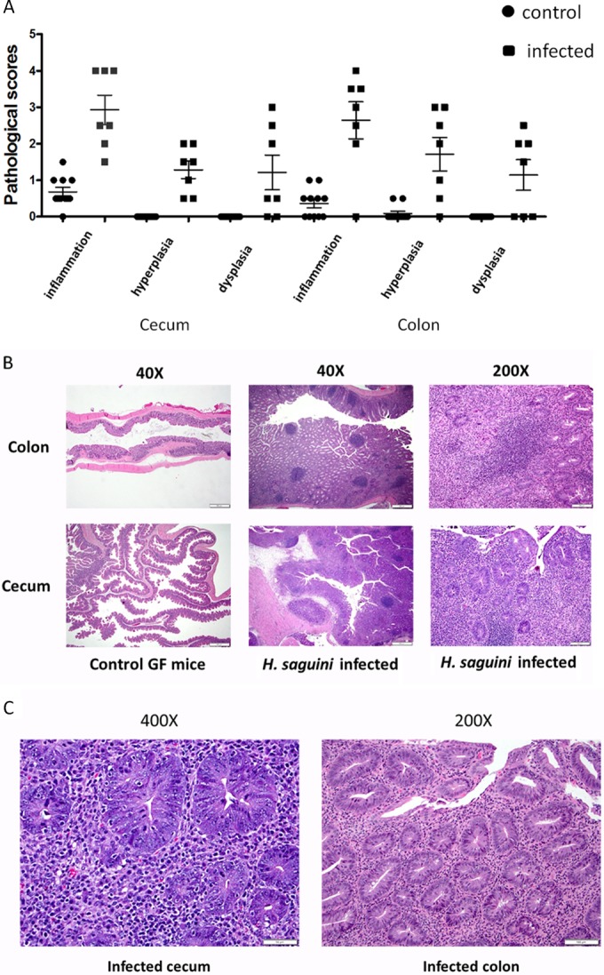 FIG 6