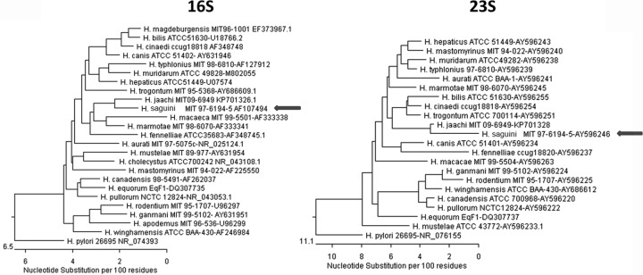 FIG 2