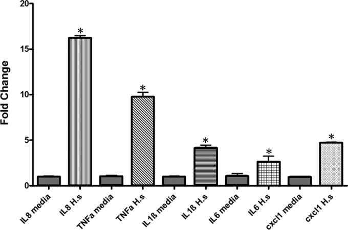 FIG 3