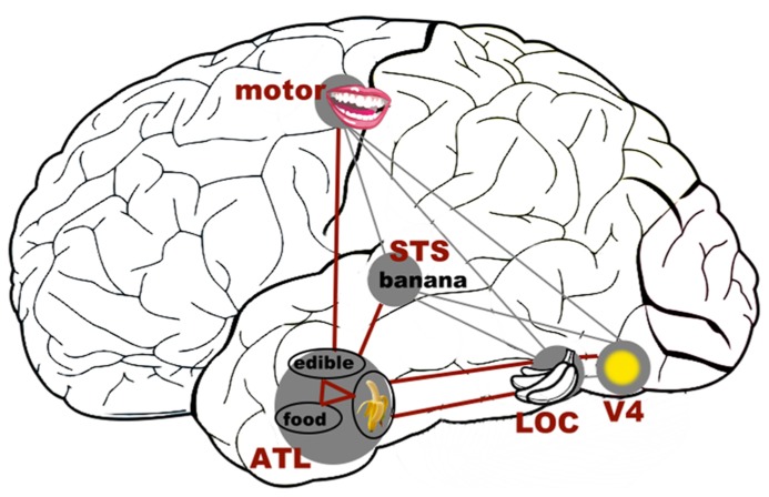 FIGURE 3