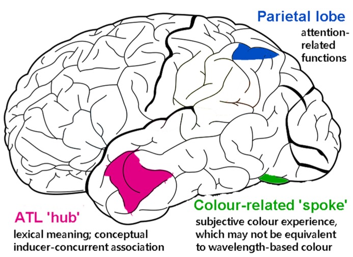 FIGURE 4