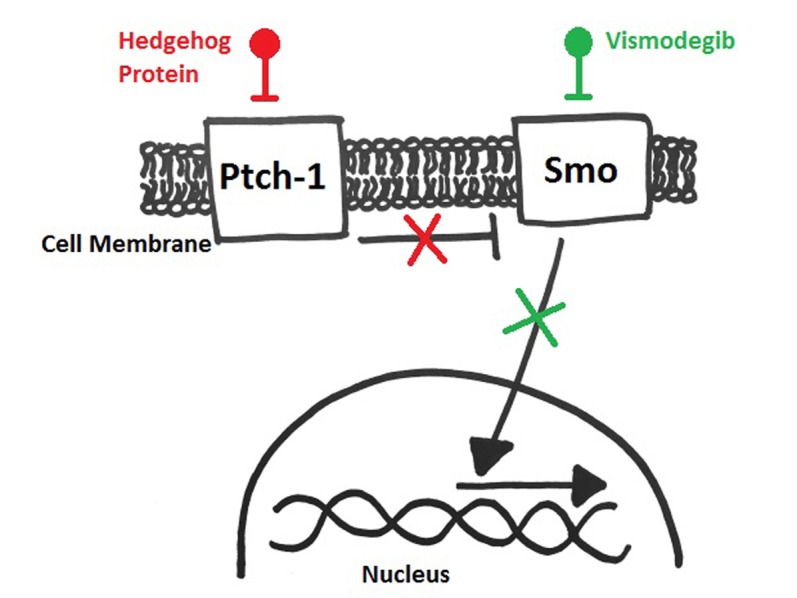 FIG 1.