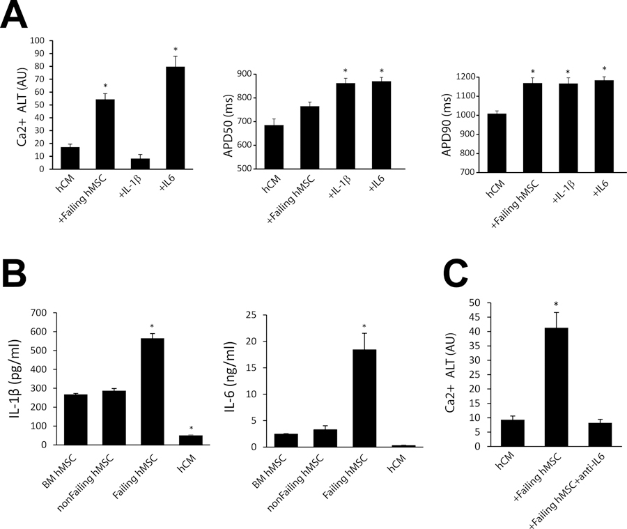 Figure 7: