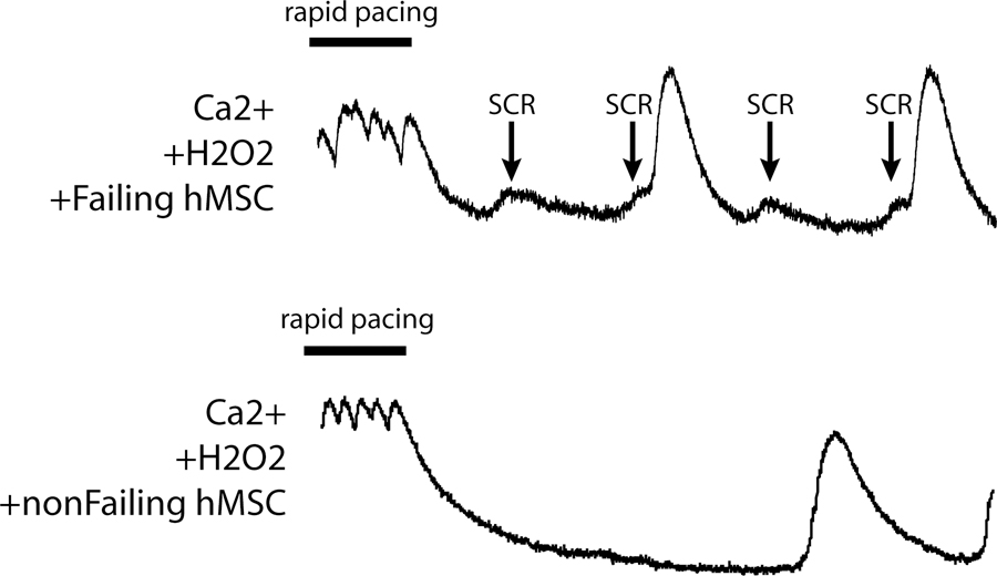 Figure 5: