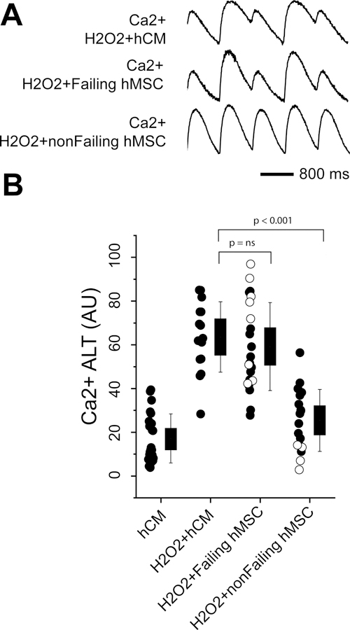 Figure 6: