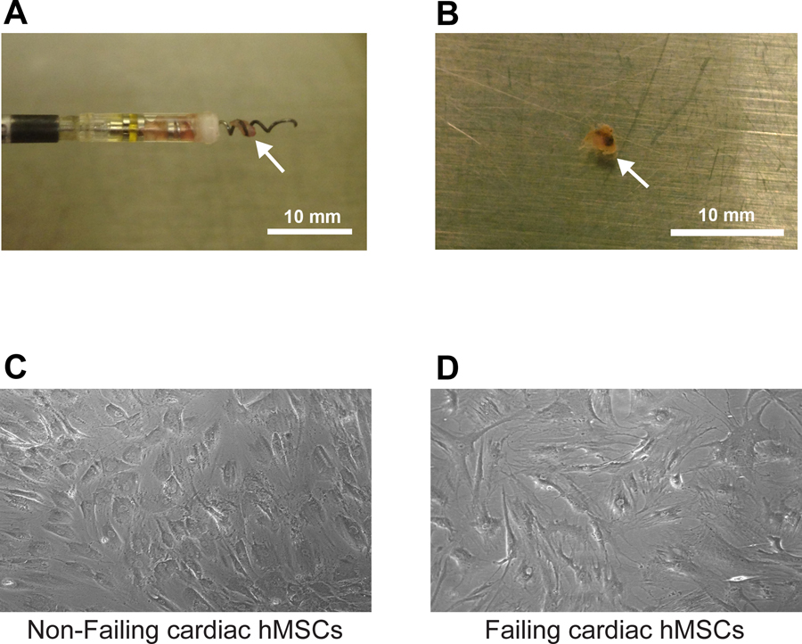 Figure 1: