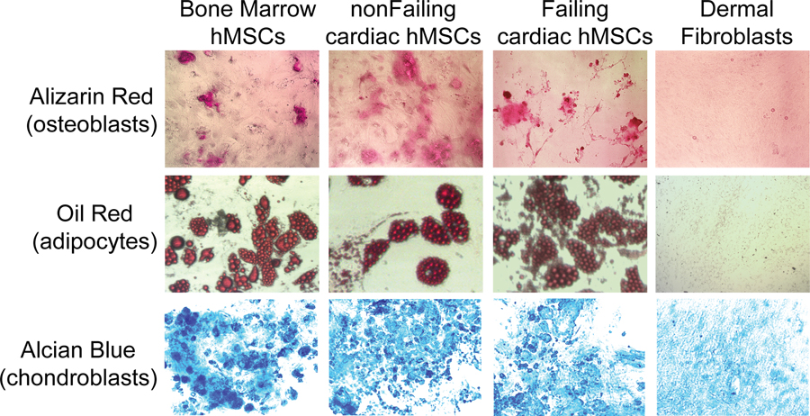 Figure 2: