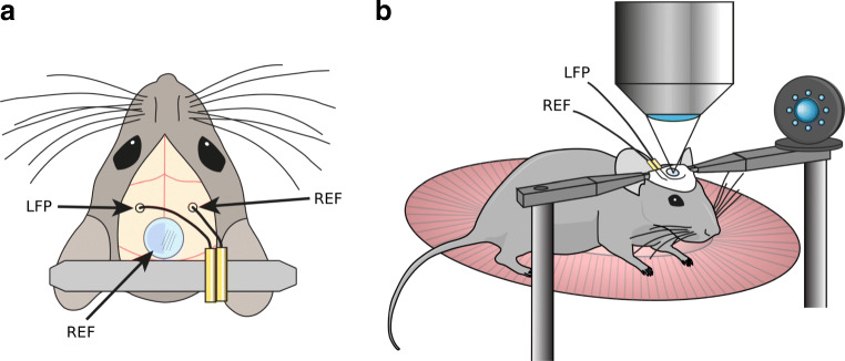 Fig. 2