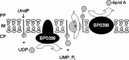 FIG. 8.