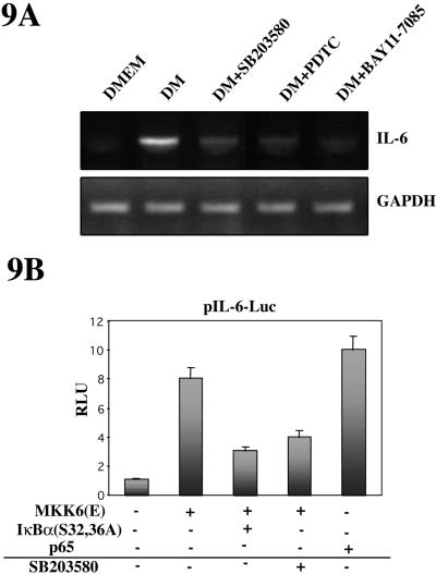 Figure 9.