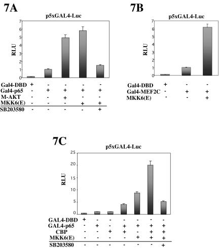 Figure 7.