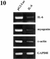 Figure 10.