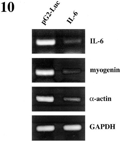 Figure 10.