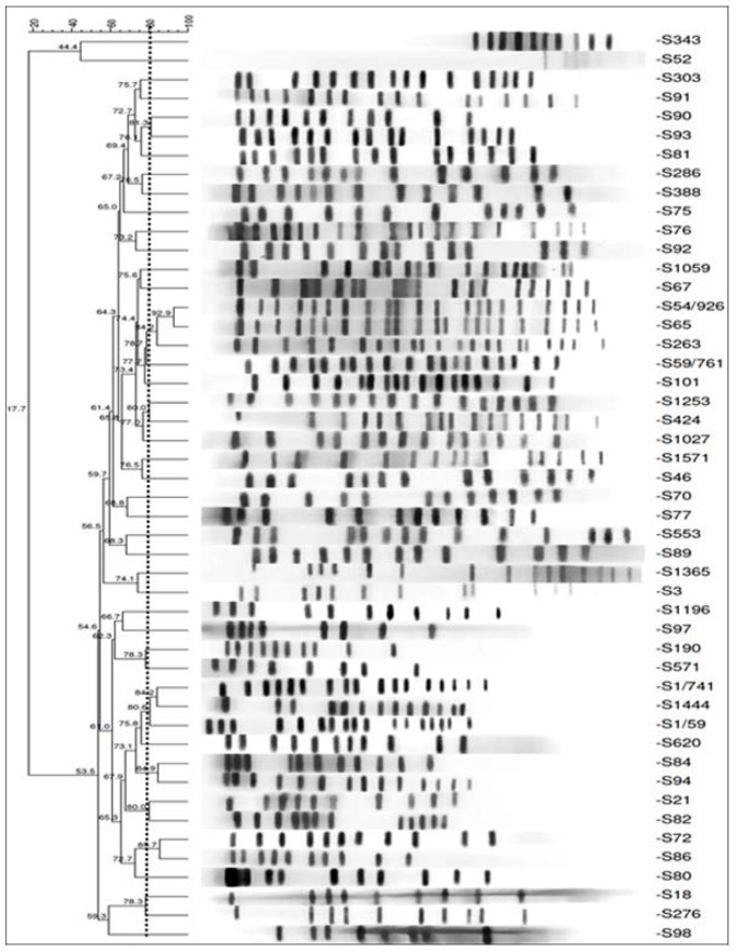 Fig 2.