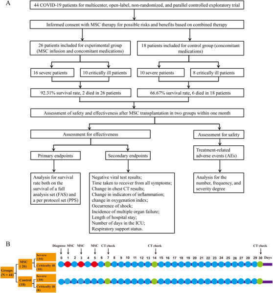 FIGURE 1