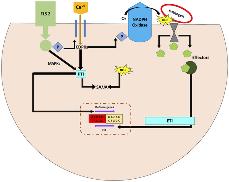 FIGURE 3