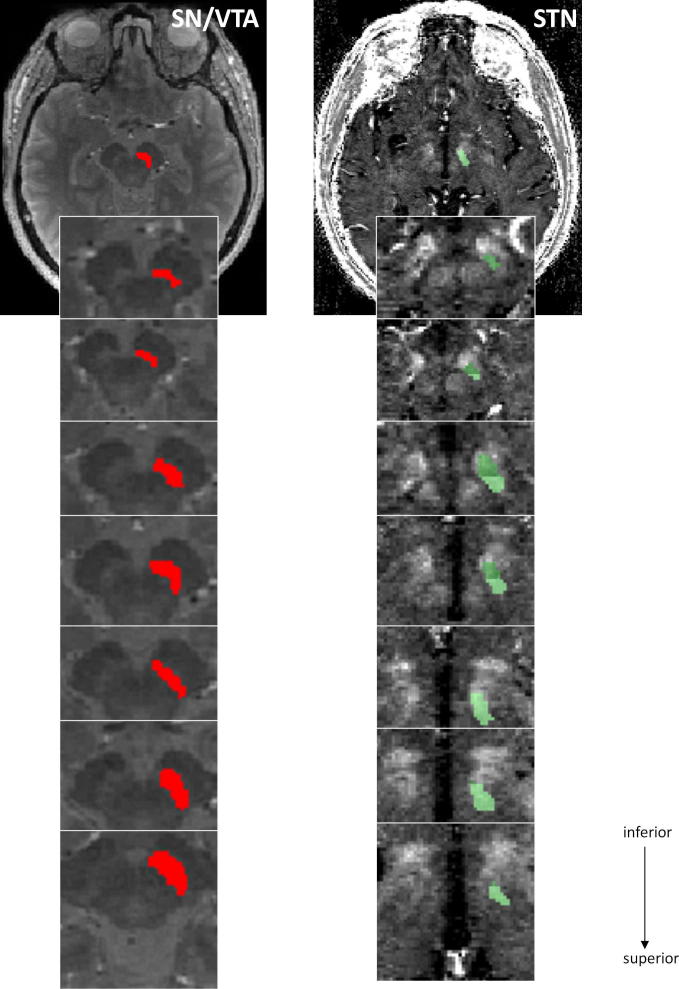 Supplementary Fig. 1