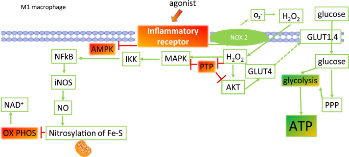 Fig. 6