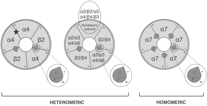 Fig. (2)