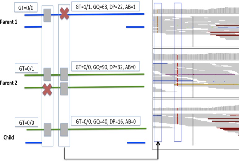 FIG. 2.