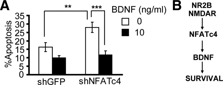 Figure 10.