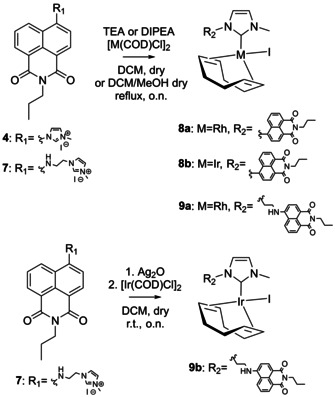 Scheme 2