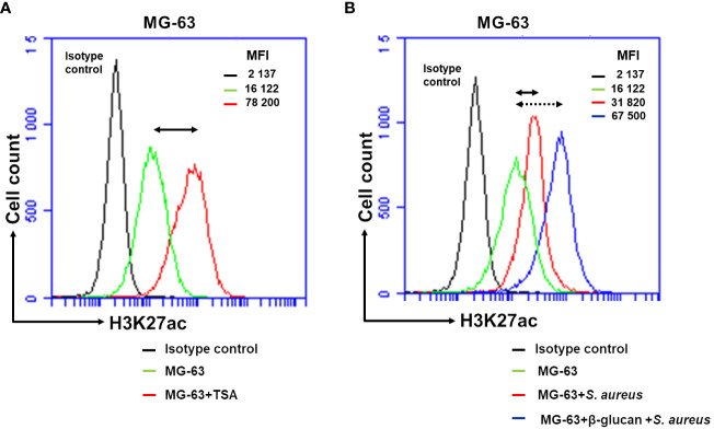 Figure 6