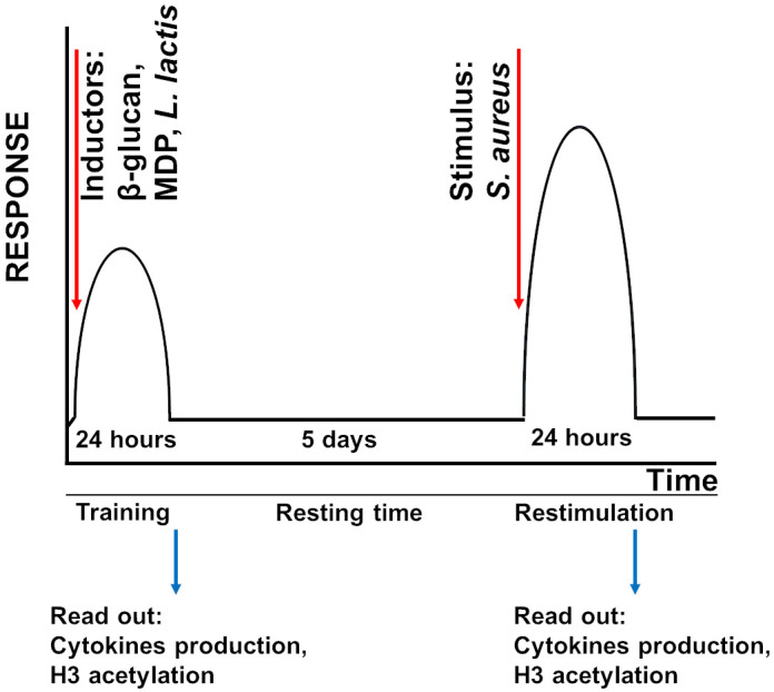 Figure 1